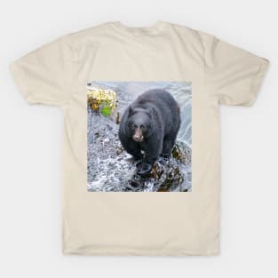 Black Bear in the River T-Shirt